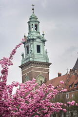 Wawel Palace in Krakow in spring with cherry blossoms