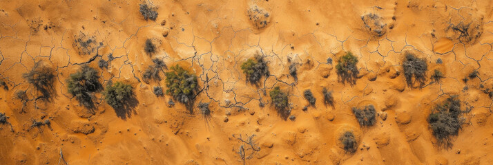 view from above, aerial photography, desert with sand, drought, barchans and dunes, cracked arid land with bushes, orange texture - Powered by Adobe