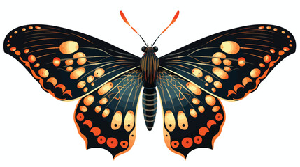 Sketch of a decorative butterfly night moth.Vector g