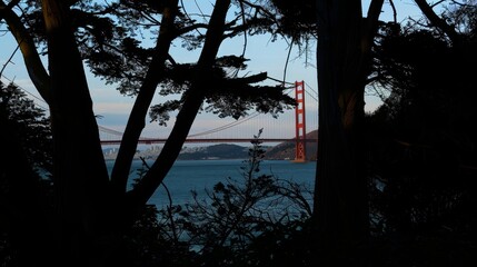 Golden Gate Bridge View from Eucalyptus Grove at Dusk