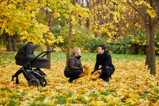 Man and woman sit squatted with armfuls of fallen leaves near perambulator in autumn park.