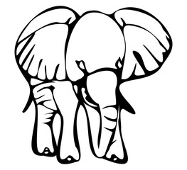 Elephant 01