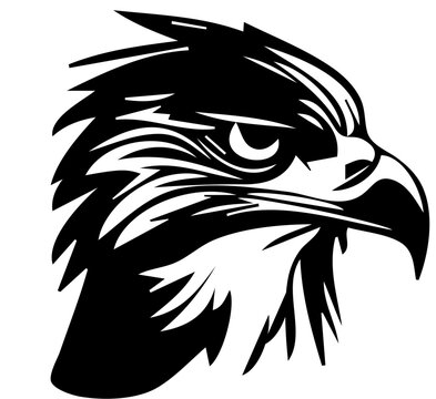 Eagle 06