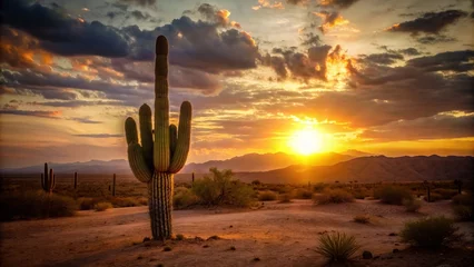 Zelfklevend Fotobehang Desert landscape with cactuses at sunset. © Ajay