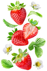 Juicy flying strawberry, whole and cut berries with leaves and flowers, isolated on a transparent background.