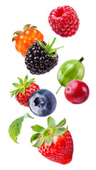 Juicy flying forest berries, raspberry, cloudberry, blackberry, gooseberry, cranberry, wild strawberry, blueberry, strawberry isolated on a transparent background.