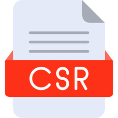 CSR File Format Vector Icon Design