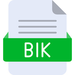 Fototapeta premium BIK File Format Vector Icon Design