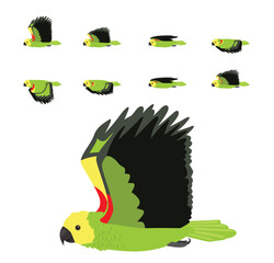 Bird Parrot Yellow-Headed Amazon Flying Animation Sequence Cartoon Vector