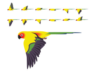 Bird Parrot Sun Conure Parakeet Flying Animation Sequence Cartoon Vector