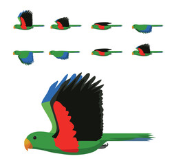 Bird Parrot Eclectus Green Flying Animation Sequence Cartoon Vector