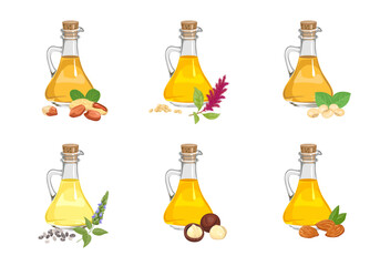 Set of different cooking oils in glass bottles, seeds, nuts and plants. Vector cartoon illustration of almond, peanut, macadamia, amaranth, soybean and chia seed oil.
