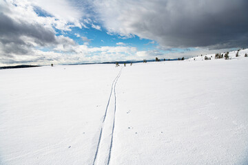 Skilanglauf in Norwegens Bergen  - Weite und Einsamkeit - Ein Geheimtipp für Wintersportler