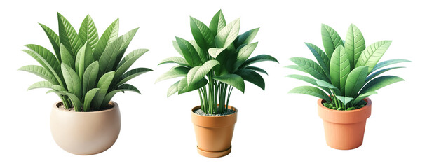 Set of home plants in pot. 3d style. PNG transparent - 762314676