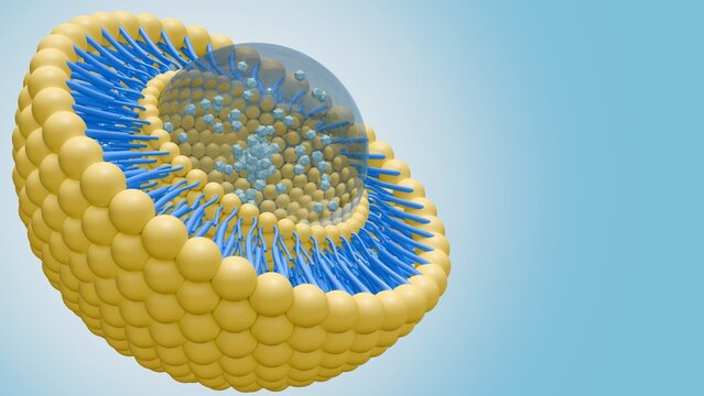 3d rendering of nanomedicine inside of liposome lipid bilayer