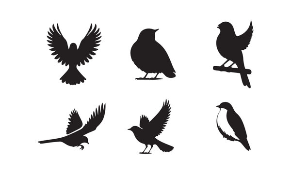 birds silhouette icons set simple style vector image,black and white humming birds vector set,silhouettes set