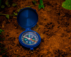 Bússola do meio ambiente © Joo