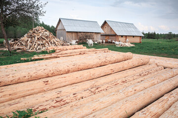 A lot of logs in the foreground, wooden buildings, a village, summer, greenery, goats, chopped firewood.
