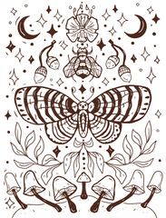 Mushrooms mystical magical graphics hand drawn moon stars tarot intuition fly agarics toadstools poisons set background stickers coloring