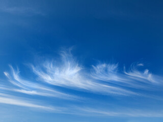 Cirrus oder Zirrus - eine reine Eiswolke vor blauem Himmel