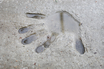 Human hand print on grey concrete slab with water at rainy day