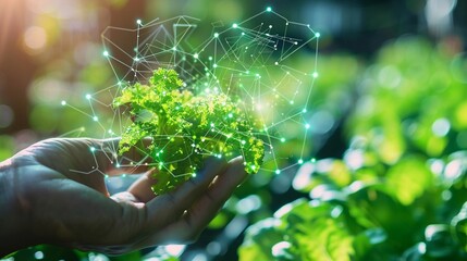 Fototapeta na wymiar Blockchain-enabled urban farming initiatives smart