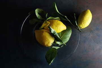 Limoni su un piatto; still life con vista dall’alto, composizione su fondo scuro