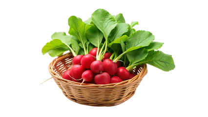 fresh red radish in basket isolated on Transparent background.