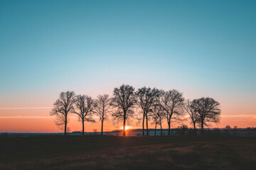 A serene landscape featuring the silhouette of trees against a dusk sky with the setting sun.