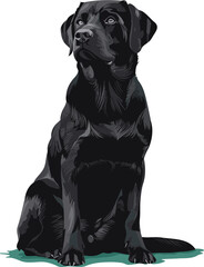 Lovable Labrador Heartwarming Dog Vector Illustration