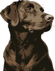Lovable Labrador Heartwarming Dog Vector Illustration