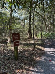 Eden Gardens State Park Florida nature hiking trail 