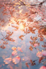 Sky with watercolor cherry blossom petals golden hour light