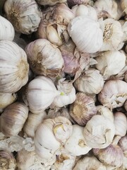 bunch of garlic