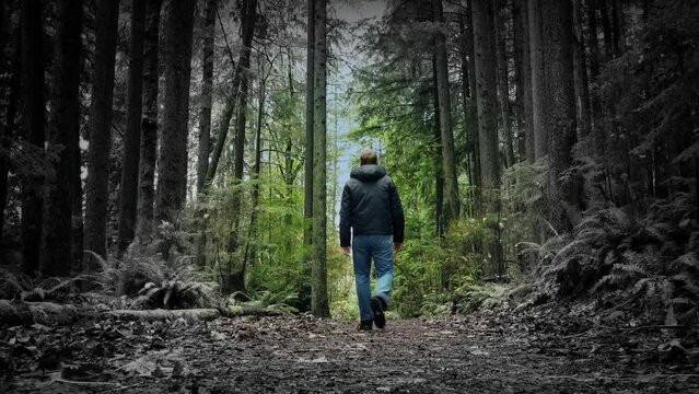 Magical Color Reveal As Man Walks On Path
