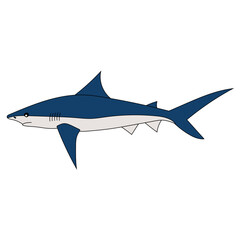 Colorful Shark Clipart for Lovers of Aquatic Animals, Underwater Creatures, and Sea Life