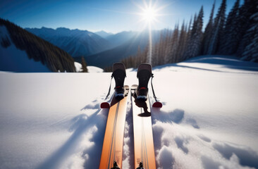 skiing in the snow - obrazy, fototapety, plakaty