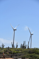 Electricity Produced by Windmills and Harnessing Wind Power