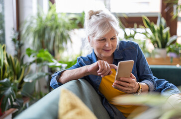 Smiling senior woman using smart phone while sitting on sofa at home
- 762349869