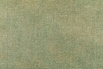 Green Textured Upholstery Fabric