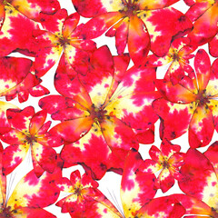 Beautiful seamless pattern with red flowers. Blooming spring. Watercolor illustration