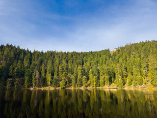 A stunning photo showcasing a serene lake encompassed by a dense forest of towering trees Mummelsee lake in Germany Baden Wurtemberg, Black Forest
