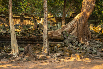 The hidden beauty of ancient temple ruins in the middle of jungle forest temple of Beng Mealea temple, Siem Reap, Cambodia. - 762357890