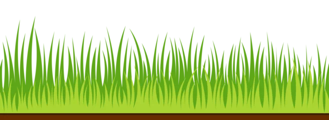Schilderijen op glas Green plant weeds grass nature border decoration flat illustration © siska_artjournal