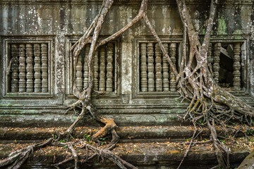 The hidden beauty of ancient temple ruins in the middle of jungle forest temple of Beng Mealea temple, Siem Reap, Cambodia. - 762358228