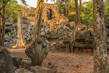 The hidden beauty of ancient temple ruins in the middle of jungle forest temple of Beng Mealea temple, Siem Reap, Cambodia.