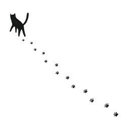 猫と足跡