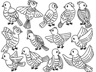Set of big doodle birds line. Vector illustration