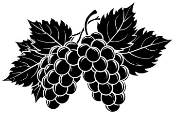 grape silhouette vector illustration