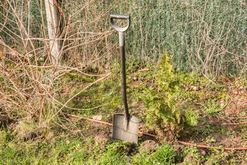 Spade stuck in garden soil closeup on spring  day